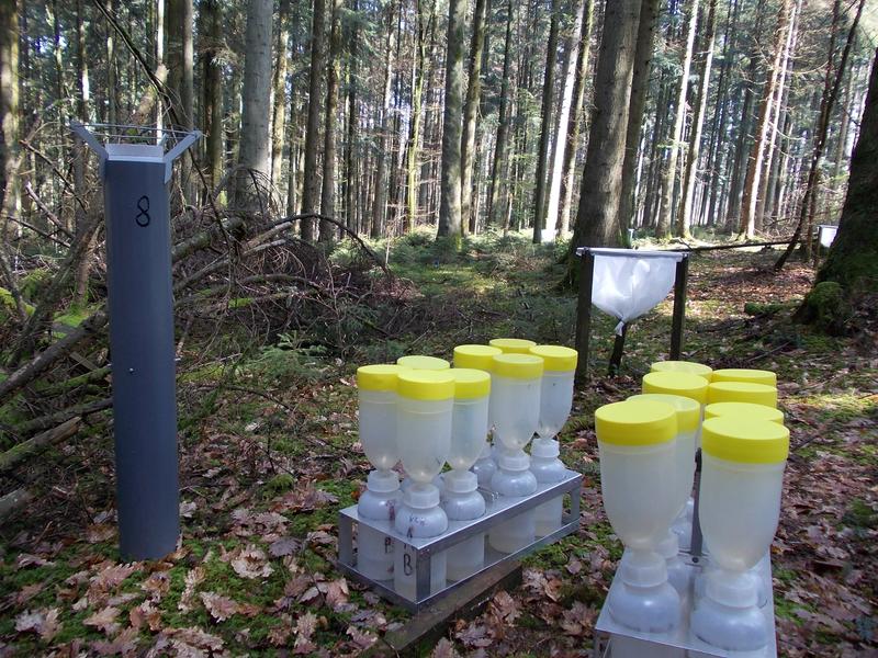 Austausch der Sammler zur Bestimmung des Stoffeintrags mit dem Regen auf der LWF-Fläche in Vordemwald AG.