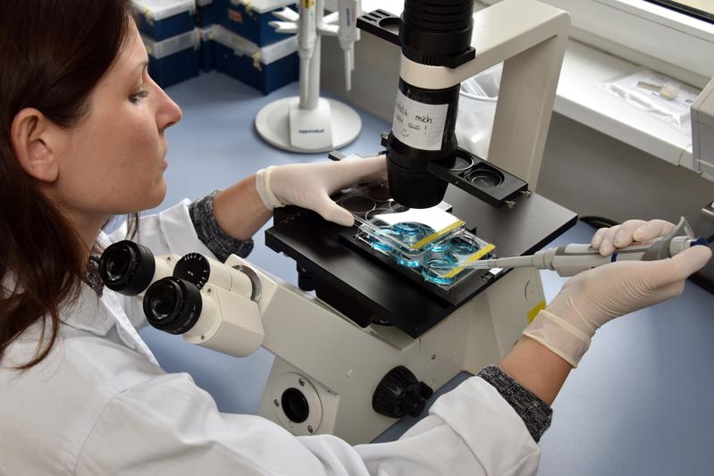 Dr. Maria Wallert von der Friedrich-Schiller-Universität Jena arbeitet in der neuen Forschungsgruppe "nanoCARE4skin" von Universität und Universitätsklinikum Jena.