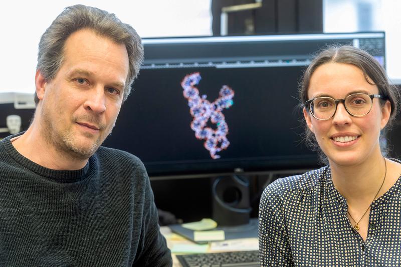 Have developed a new method for the structural elucidation of long ribonucleic acids (RNA): Dr. Stephanie Kath-Schorr and Prof. Dr. Olav Schiemann from the University of Bonn. 