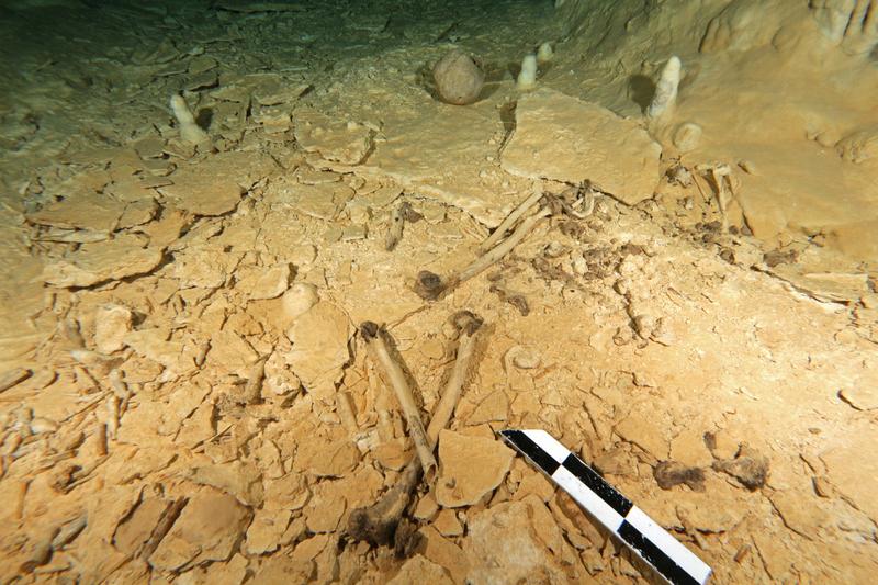 The skeleton was found in the Chan Hol underwater cave near the city of Tulúm on Mexico's Yucatán peninsula. 