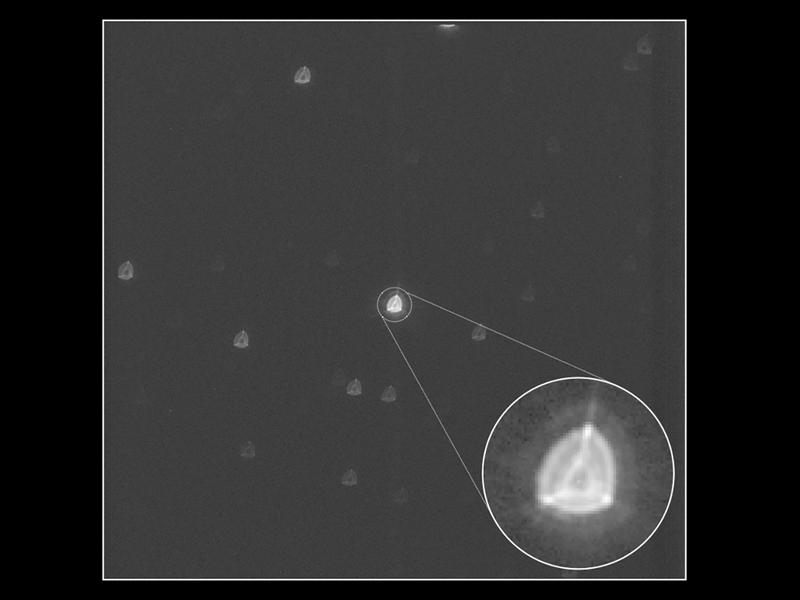 Erstes Bild des als Ziel für CHEOPS gewählten Sterns im Sternbild Krebs nach dem Öffnen der Abdeckung. Durch die gewollte Defokussierung erreicht CHEOPS eine bessere photometrische Präzision.