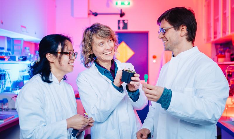 DNA-„Schmuggel“ nachgewiesen: Dr. Yanbo Mao, Professorin Rita Groß-Hardt und Dr. Thomas Nakel von der Universität Bremen.