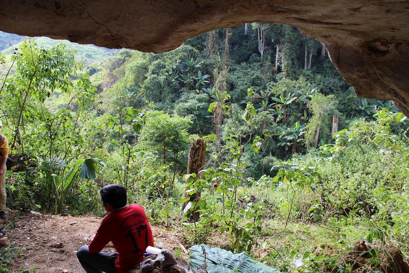 Die Tam Ham Marklot-Höhle befindet sich im nordöstlichen Teil von Laos (Provinz Hua Pan) inmitten subtropischer Vegetation.