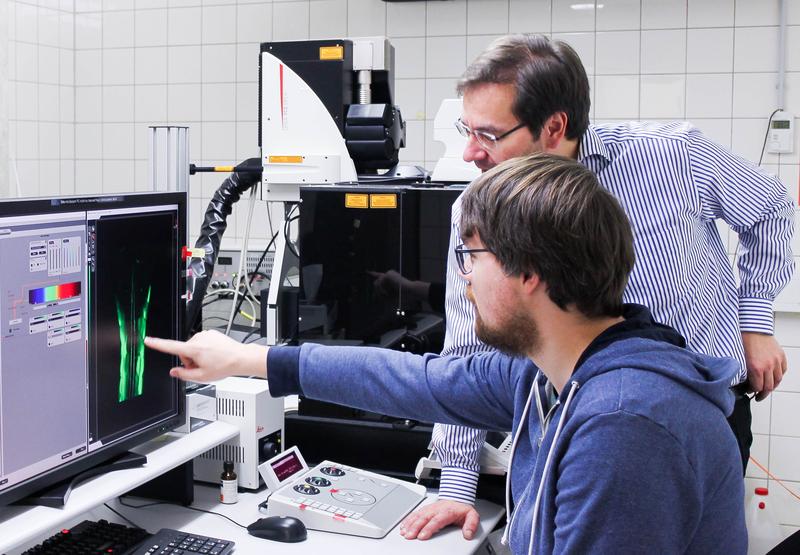 Alexander Hecker M.Sc. und Prof. Dr. Stefan Schuster, Lehrstuhl für Tierphysiologie an der Universität Bayreuth. 