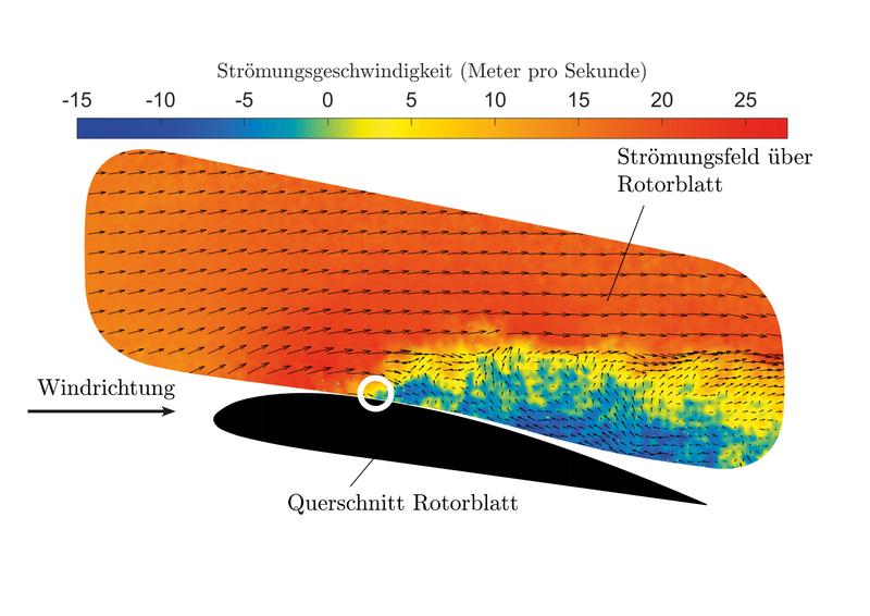 Strömungsfeld über dem Rotorblatt einer Modellwindturbine. Der Kreis markiert den Strömungsabriss