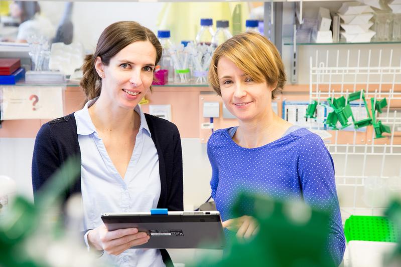 Die diesjährigen Forschungspreisträgerinnen Prof. Dr. Martina Rauner und Dr. Ulrike Baschant im „Bone Lab“ der TU Dresden.
