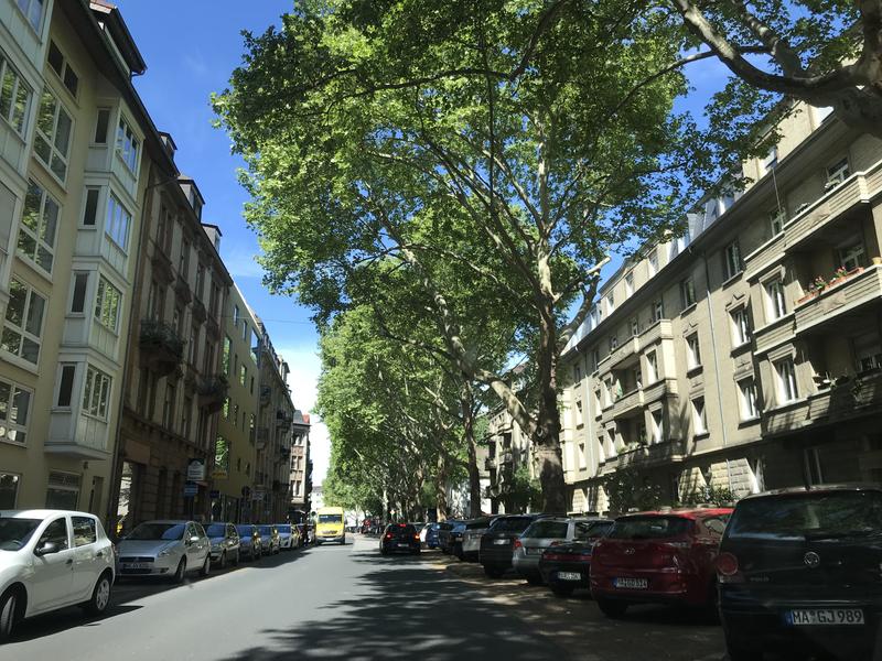 Lange Rötterstraße in Mannheim