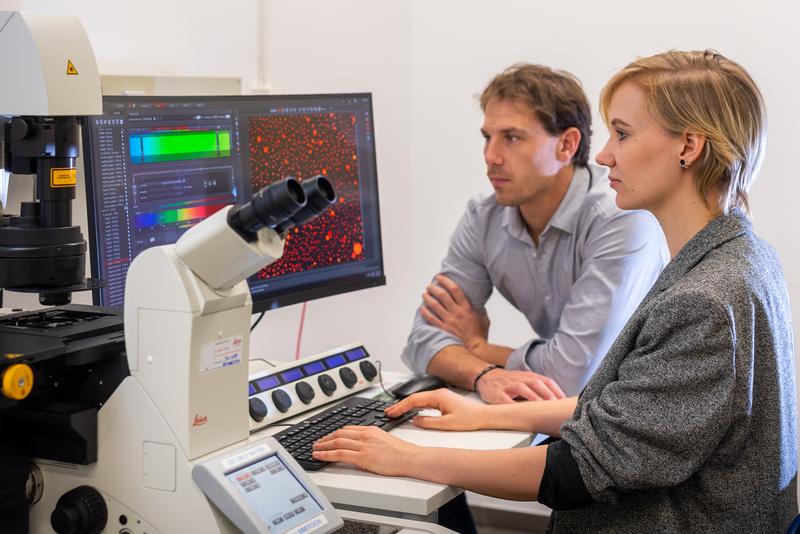 Prof. Job Boekhoven and Caren Wanzke at the microscope. The image (right screen) shows droplets of the hydrolyzable oil embedded in a hydrogel.