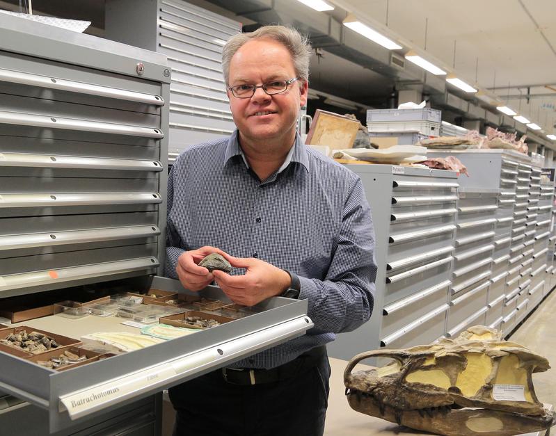 Dr. Rainer Schoch in der Sammlung des Naturkundemuseums Stuttgart mit dem Fossil der Mini-Echse Vellbergia bartholomaei.