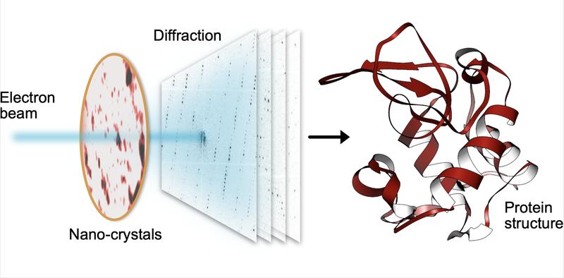 Ein kleiner Elektronenstrahl trifft auf tausende winziger Proteinkristalle nacheinander. Mit ihren Beugungsmuster können die Proteinstrukturen in hoher Auflösung bestimmt werden.