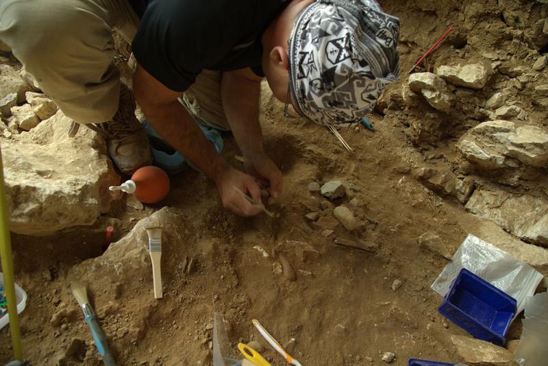 Mit feinem Grabungswerkzeug wird die ehemalige Oberfläche, auf der sich die Chagyrskaya-Neandertaler vor 50.000 Jahren aufgehalten haben, freigelegt. 