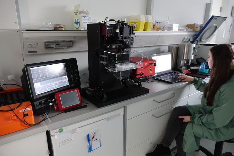 Mona Seemann, research assistant at Fraunhofer AZOM, working in the cell biology laboratory of the FILK Freiberg, investigating cartilage cell cultures.
