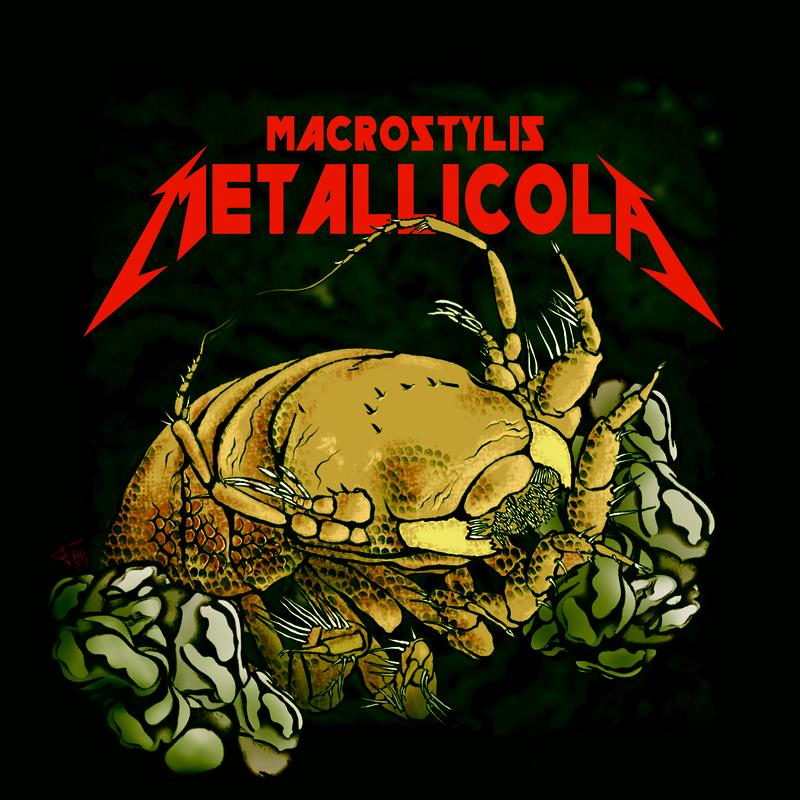 Die Metallica-Assel Macrostylis metallicola als künstlerische Interpretation. 