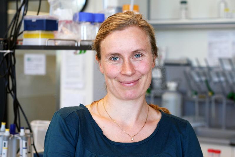 Eva Stukenbrock, Professorin für Umweltgenomik an der CAU und am MPI-EB in Plön, wurde 2020 mit einem Fellowship der Academy of Microbiology geehrt.
