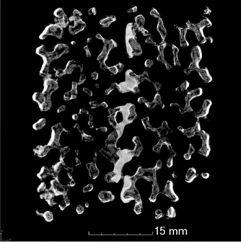 Computertomographische Aufnahme eines Metallschmelze-Hybrid-Filters mit flammgespritzter, funktionaler Al2O3-C-Beschichtung. 