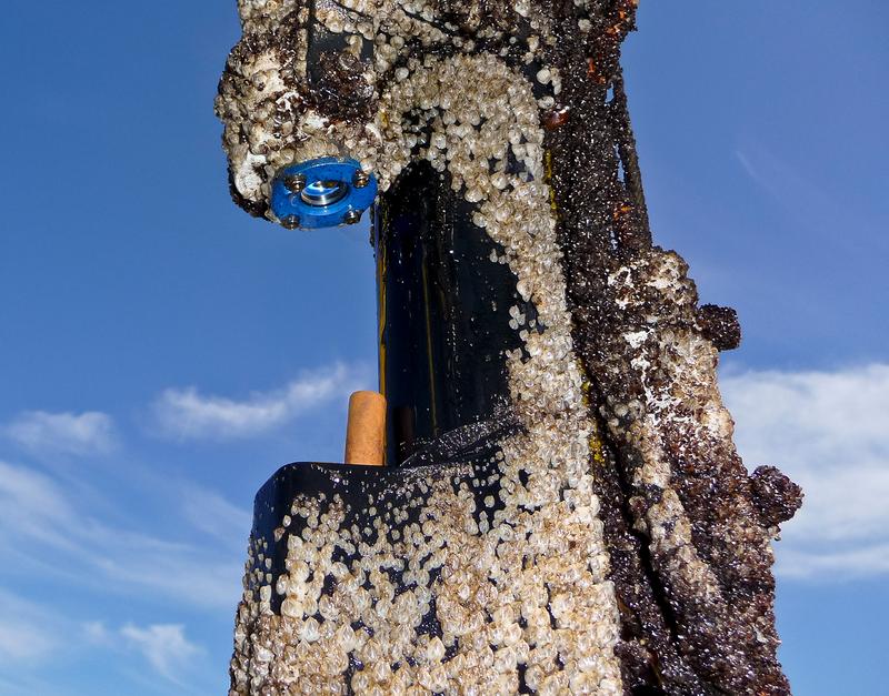 Still completely free of fouling after 10 weeks: The new antifouling UV spotlight of the IOW (blue, top) was able to precisely protect an underwater measuring probe (orange, bottom) from barnacles.