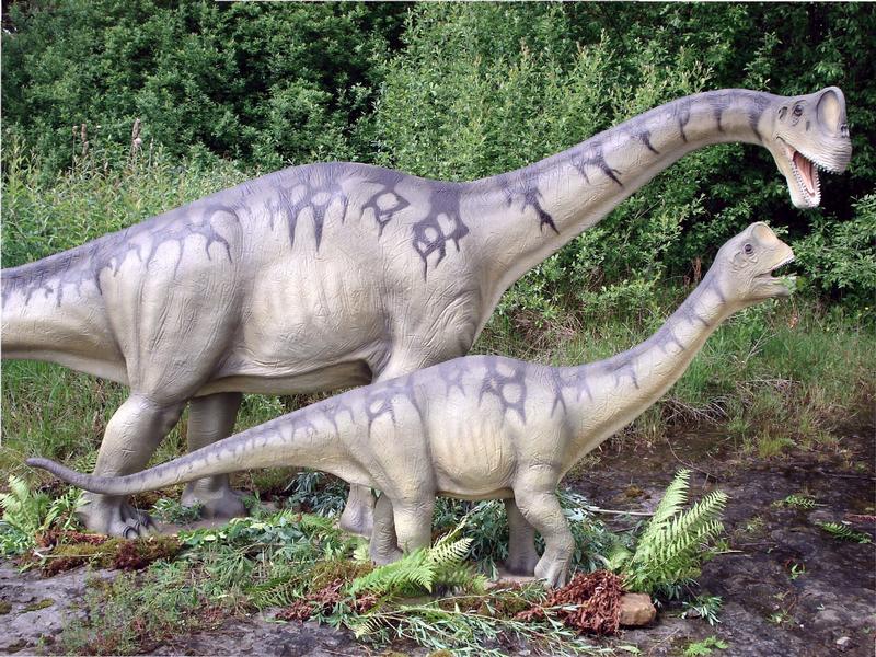 Der Dinopark Münchehagen hat angesichts der aktuellen Erkenntnisse neue Modelle einer Europasaurus-Gruppe angefertigt. Zu sehen sind Tiere verschiedener Altersstufen. 