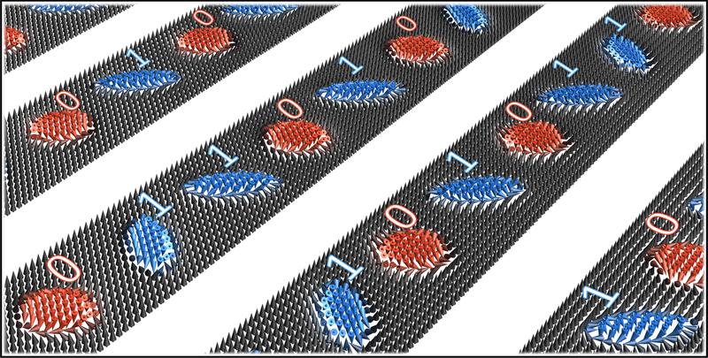 Schematic representation of the magnetization in an advanced racetrack memory data storage. Skyrmions (blue) and antiskyrmions (red) constitute the '1' and '0' bits, respectively.