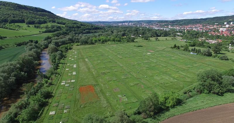 Aerial photo of the Jena Experiment in 2016.