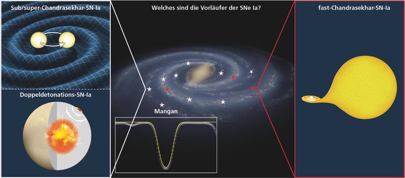 Durch Untersuchungen der Häufigkeit des Elements Mangan haben Astronomen jetzt deutlich andere Abschätzungen dafür geliefert, welche Prozesse wie häufig für Supernovae vom Typ Ia verantwortlich sind.