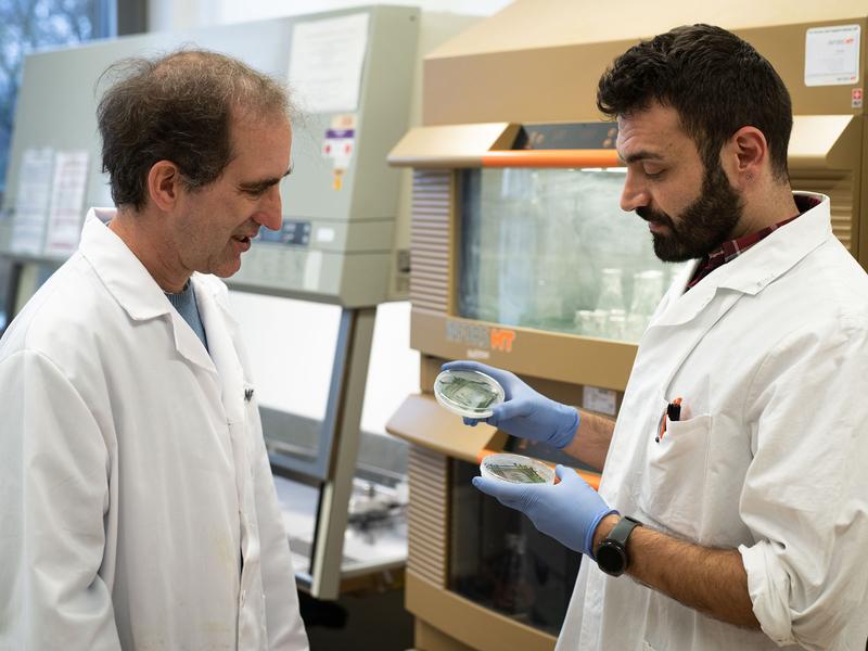 Prof. Dörmann (links) und sein Doktorand Mohammed Aizouq mit zwei verschiedenen Cyanobakterien-Kulturen. 