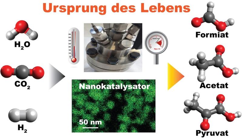 CO2-Umwandlung in frühesten biochemischen Prozessen