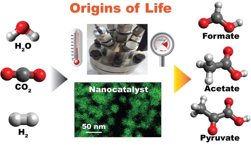 CO2- transformation in earliest biochemical processes