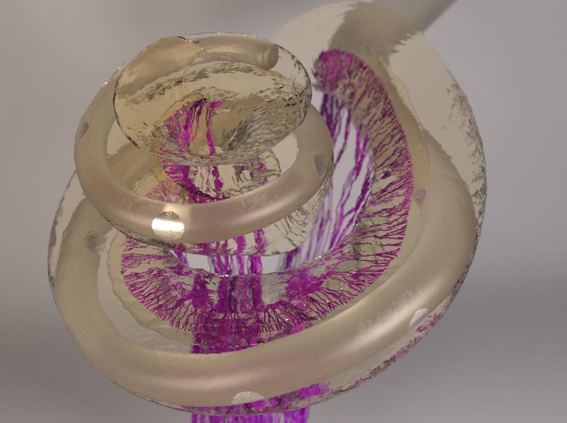 3-D-Abbildung des menschlichen Innenohrs mit einer Cochlea-Implantatelektrode erstellt auf Grundlage hochaufgelöster Computertomografie. In violett sind die Fasern des Hörnervs dargestellt.