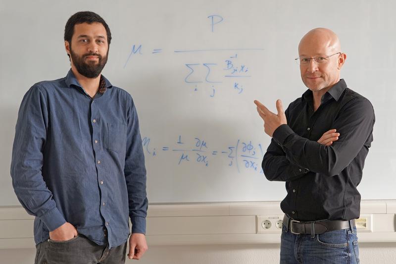Prof. Dr. Martin Lercher (rechts) und Hugo Dourado vor der zentralen Formel ihres neuen Modells zur Molekülverteilung in Zellen. 