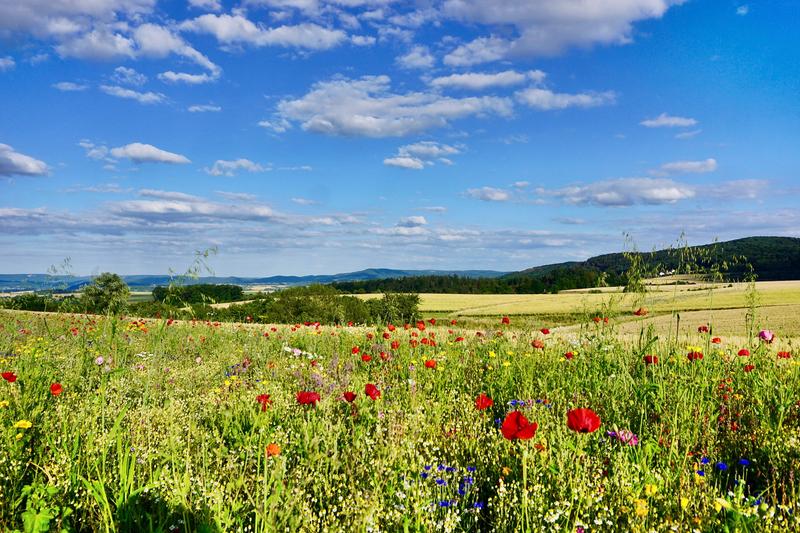 Eine strukturreiche Landschaft erfreut das Auge, fördert die biologische Vielfalt und kommt auch den Landwirten zugute.