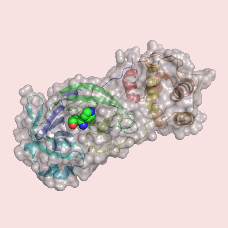 Researchers have tested more than 680 million substances on the computer to virtually test one of the virus’ important proteins, the central protease.
