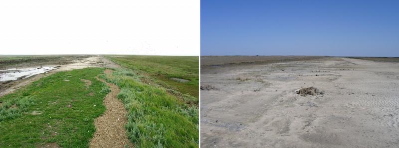 Im Vordergrund Reste des Sommerdeichs 2004 (links) ... nur noch ein heller Saum läßt den ehemaligen Damm erahnen (rechts)