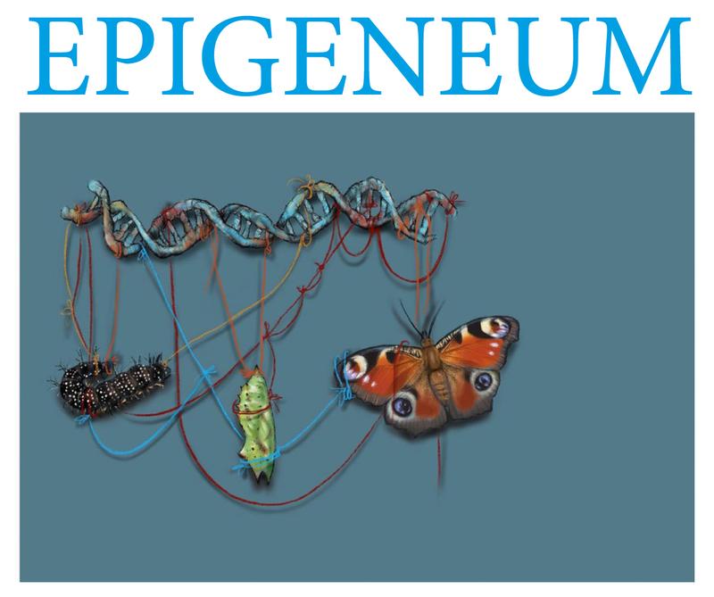 Epigeneum