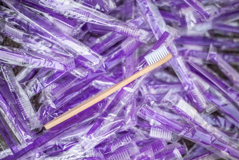 Die ECObrush und ihre weniger nachhaltige Alternative aus Plastik