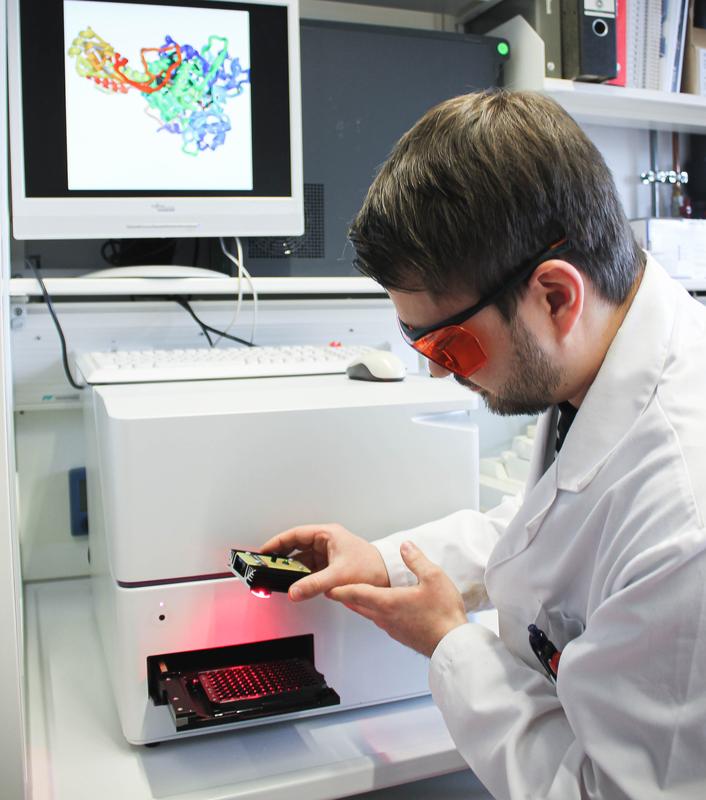 Excitation of phytochromes by red light. 