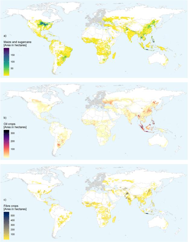 The figure shows the EU's land consumption outside its borders for the cultivation of crops not intended for human consumption (a: corn/sugar cane; b: oil plants; c: fiber plants). 