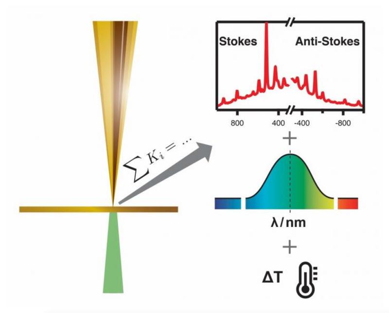 TERS-experiment: The method allows to assess the plasmon resonance and near-field temperature experienced exclusively by the molecules directly contributing to the TERS signal.