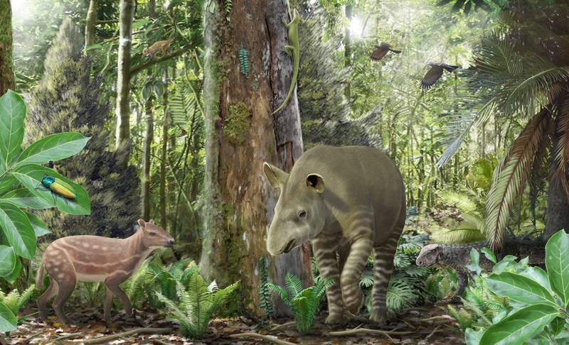 Künstlerische Darstellung des Ökosystems im Geiseltal vor 47 Millionen Jahren: Urpferd Propalaeotherium links, dem frühen Tapir Lophiodon in der Mitte und einem Krokodil Bergisuchus im Hintergrund.