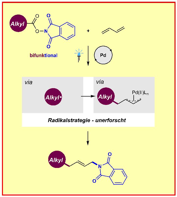 Chemische Darstellung der neuen Methode, mit der die Forscher π-Allylpalladium-Komplexe durch Radikalchemie herstellen 