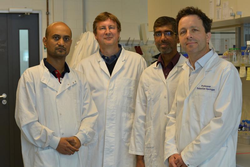 The working group of Sebastian Springer with Ankur Saikia, Raghavendra Anjanappa and Sebastian Springer (from left) plus Prof. Dr. Martin Zacharias (TU Munich, second from left).