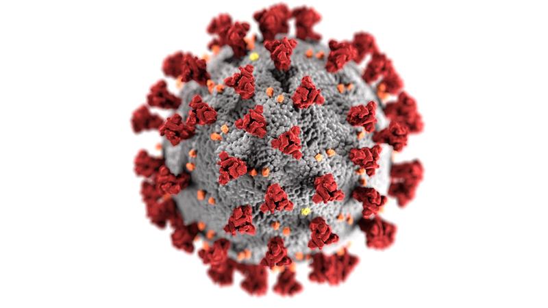 Das DZIF schnürt ein Forschungspaket gegen das neue Coronavirus 