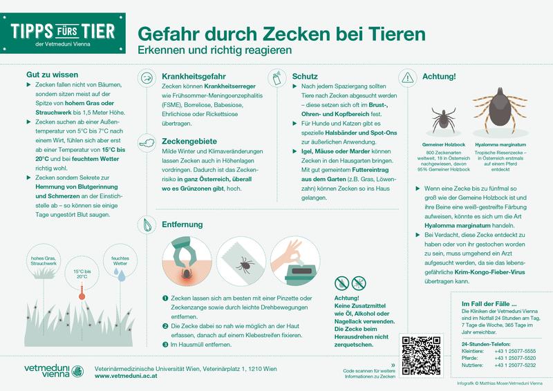 Infografik "Gefahr durch Zecken bei Tieren"/Tipps fürs Tier