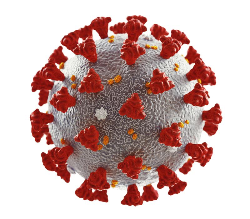 Coronavirus