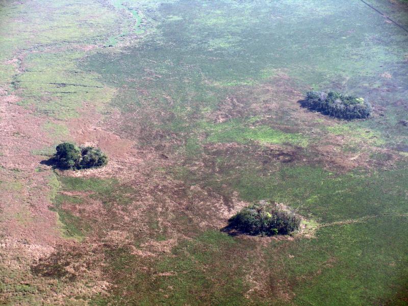 Die Siedlerinnen und Siedler legten schätzungsweise 4’700 künstliche Waldinseln an, was den ökologischen Charakter der Landschaft veränderte.