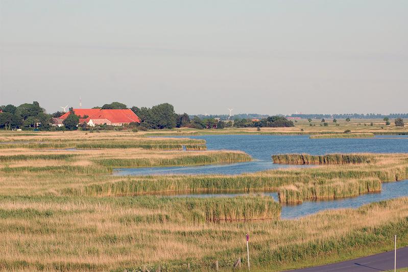 Marschlandschaft an der deutschen Nordseeküste. 