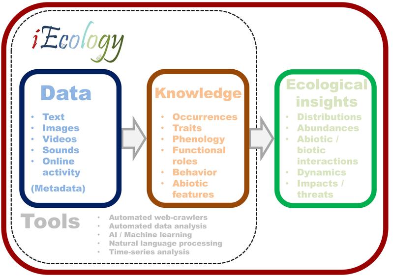 iEcology: Using data from the online world to gain new insights for environmental research. 