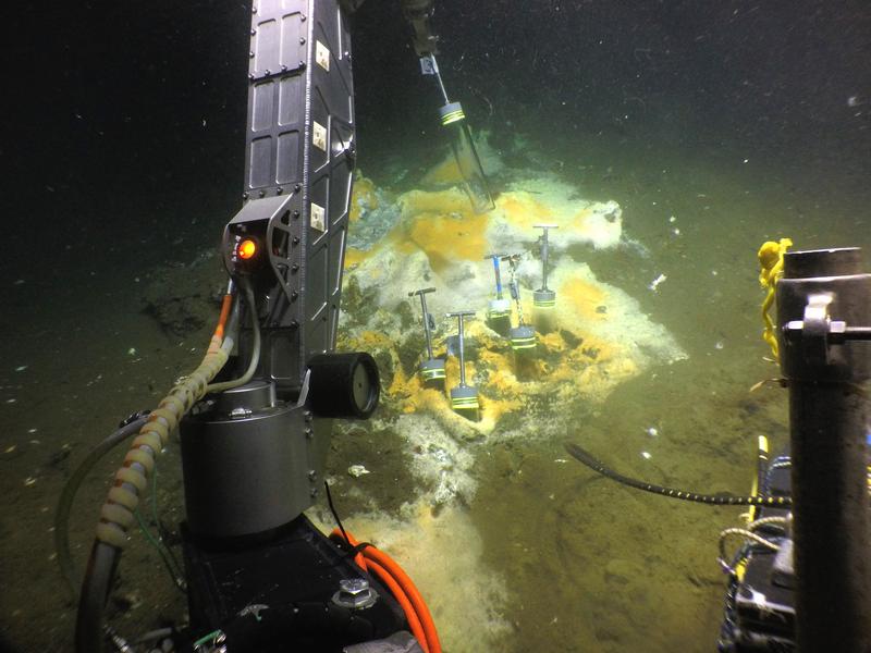 Tauchgang im Golf von Mexiko: Mit dem Tauchboot ALVIN konnten die Bremer Forscher den Meeresboden erreichen. Dort nutzen sie ALVINs Greifarm, um Sedimentkerne aus dem Meeresboden zu sammeln.