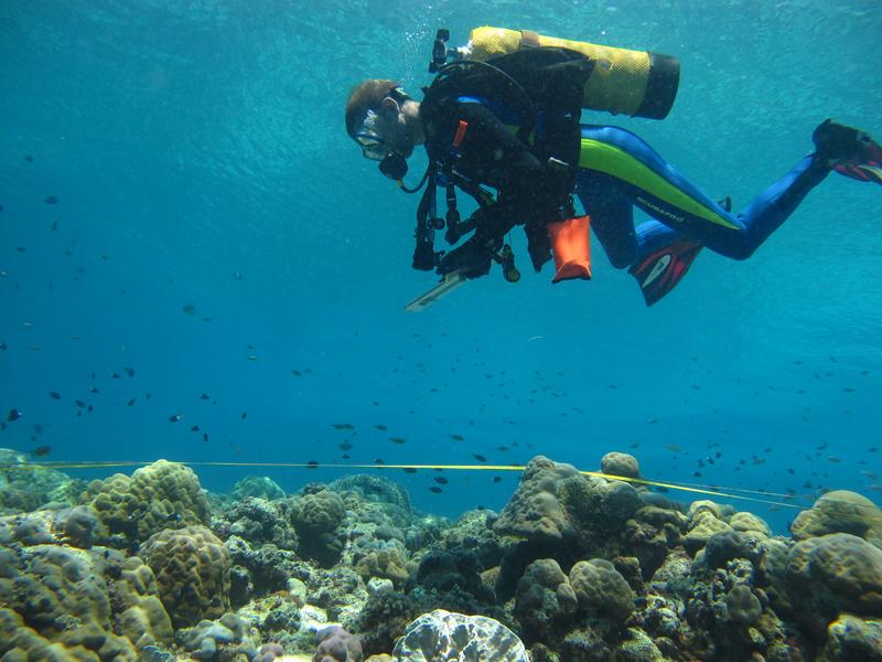 Der Autor beim Zählen von Fischen in einem Korallenriff in Indonesien. 