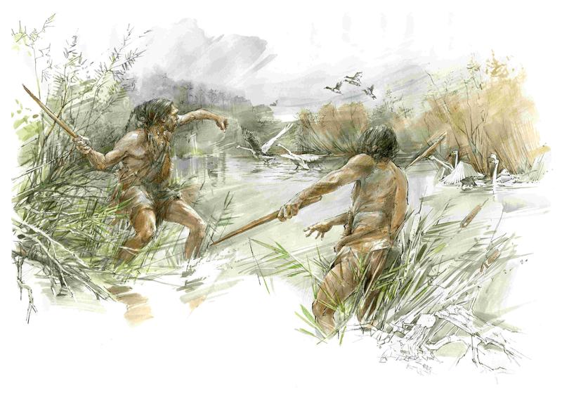 Hunters on the Schöningen lakeshore likely used the throwing stick to hunt waterbirds 