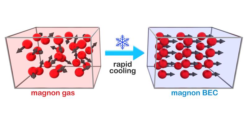 Magnon gas particles bounce around in many directions inside a magnetic nanostructure. When rapidly cooled, they all spontaneously jump into the same state, forming a Bose-Einstein condensate (BEC).